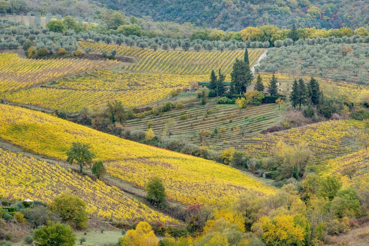 Terre Di Baccio Panzió Greve in Chianti Kültér fotó