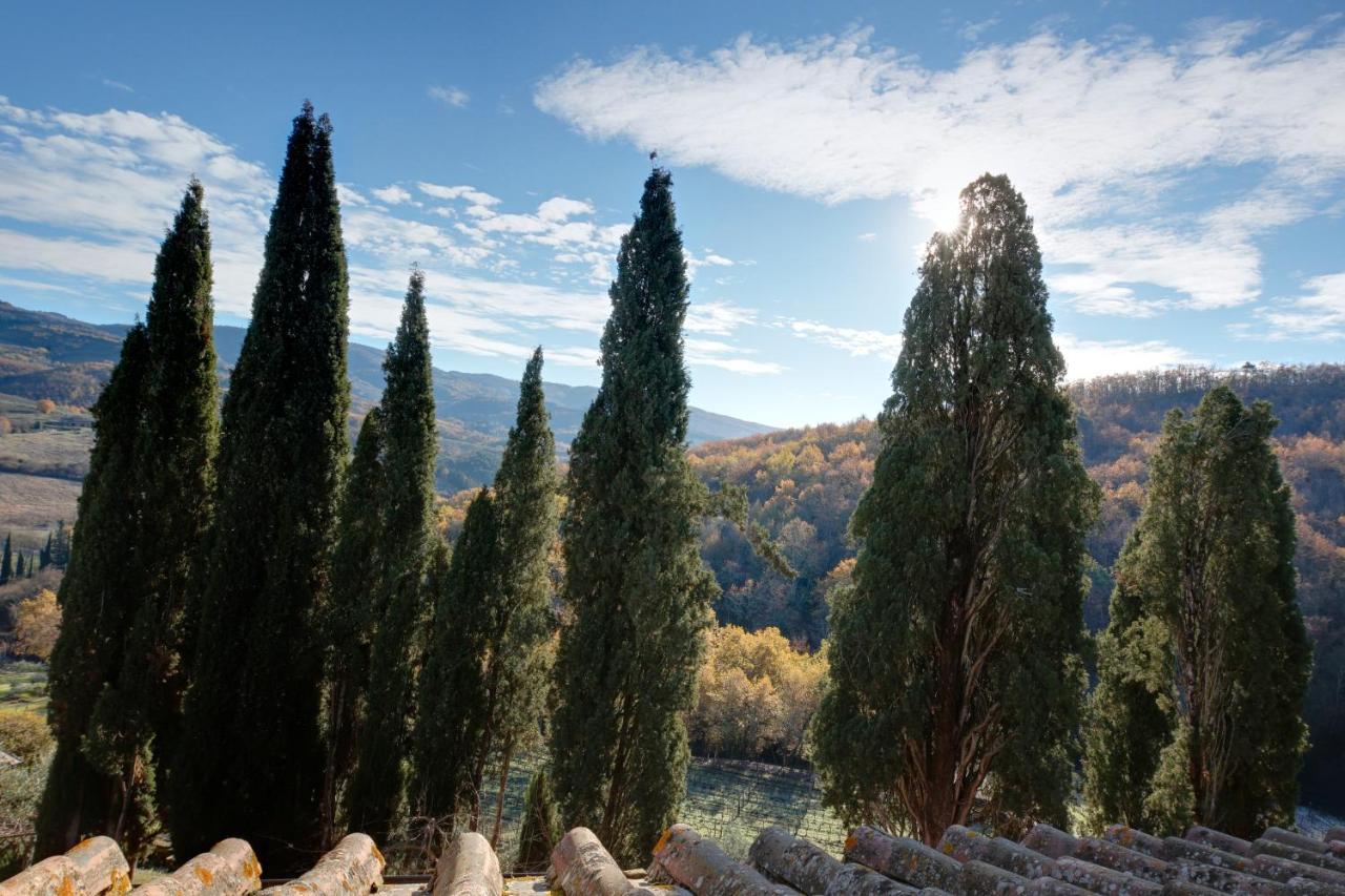 Terre Di Baccio Panzió Greve in Chianti Kültér fotó