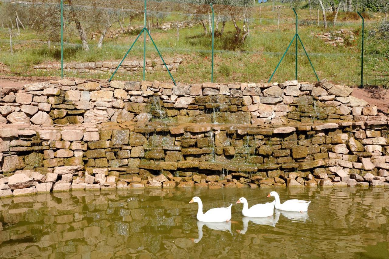 Terre Di Baccio Panzió Greve in Chianti Kültér fotó