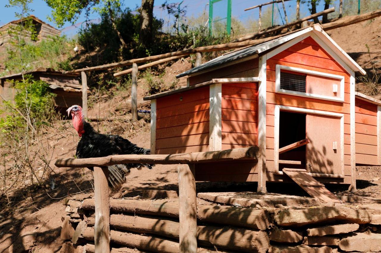 Terre Di Baccio Panzió Greve in Chianti Kültér fotó